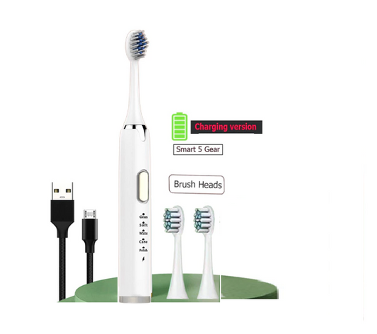Cepillo de Dientes Eléctrico Sónico Recargable USB